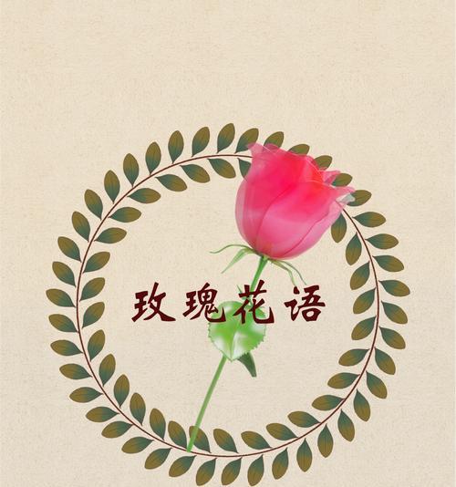肉色玫瑰的花语和寓意深度解读