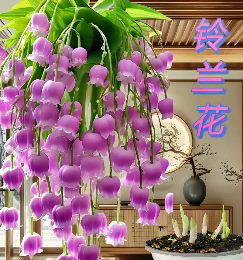 铃兰花的花语有何特别之处？