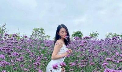 错过爱情的花语代表了什么？——探索花语中未说出口的爱与遗憾