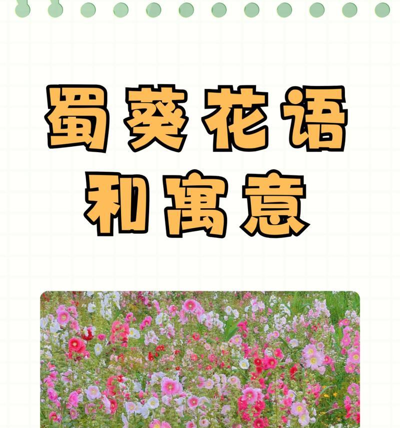 花语中隐藏的秘密：哪种花表示躲藏？