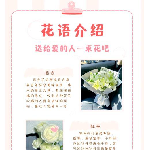 面对生活的花语有哪些？如何用乐观态度去解读？