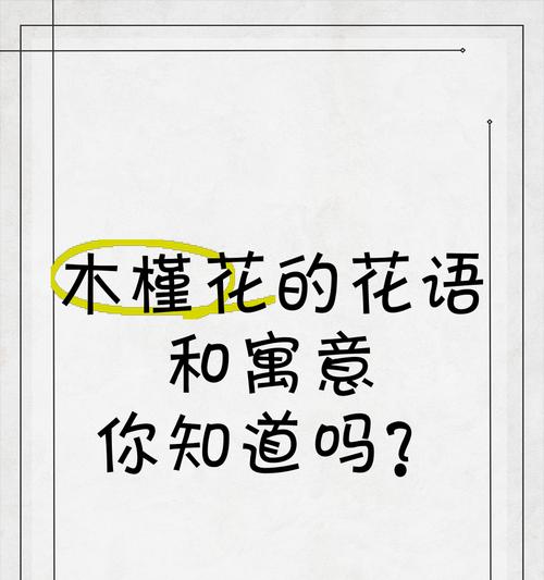 灌木开花的花语有何寓意？