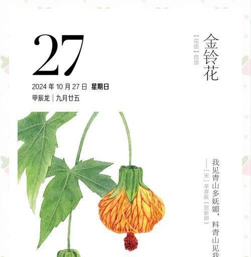 哪种花的花语代表自信？