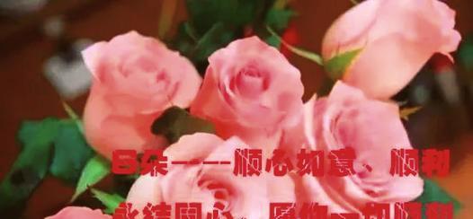 知性玫瑰的花语：内敛与深邃的寓意解读