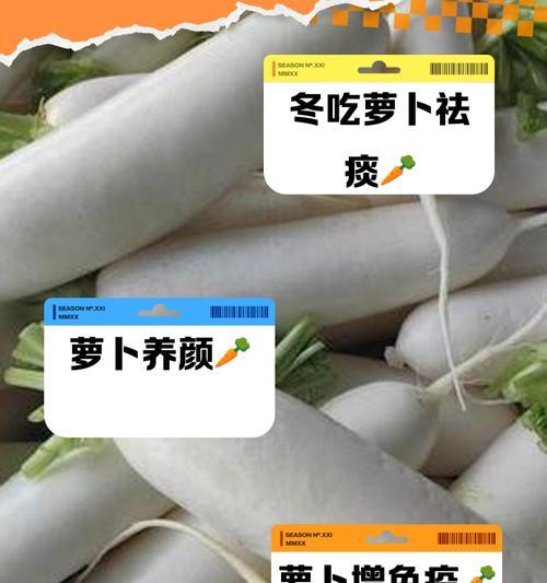 冬季萝卜花语是什么植物？冬季萝卜代表什么？