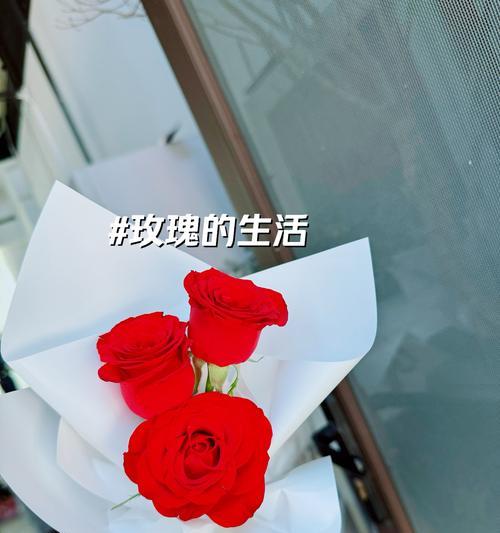 如何用玫瑰花向女友表白？哪种玫瑰花最能表达爱意？