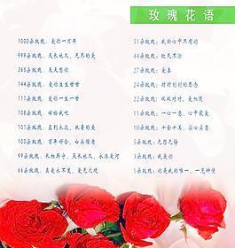 哪种玫瑰花语适合给女朋友看？
