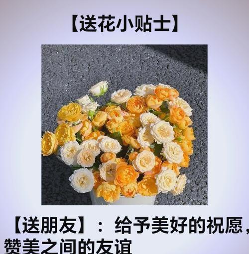 什么花代表什么花语？如何通过花语传递情感？