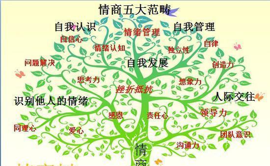 提高情商的花语是什么？它传递了怎样的信息？