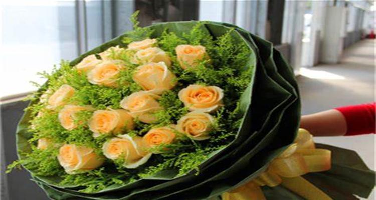 19朵玫瑰花代表什么？揭秘19朵玫瑰的浪漫花语
