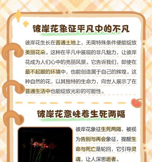 你猜下我是什么花的花语?如何通过花语猜出我心中的花?