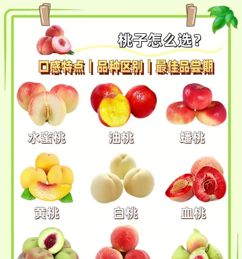 桃子的花语和寓意：揭示这一水果背后丰富的文化象征