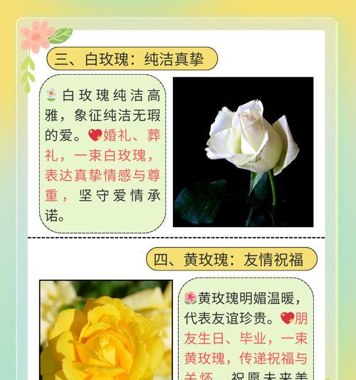 花语大结局：各色花朵寓意的完美演绎