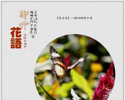 聆听花语与花语的反义词探究