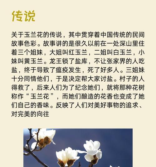 白玉兰的花语配音有何特别之处？