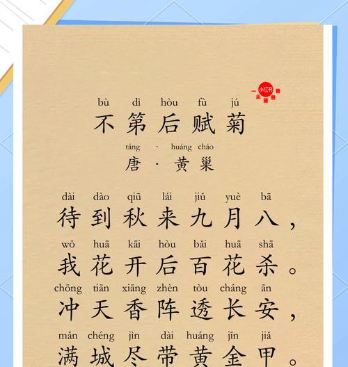 不凋零的花语代表了什么？