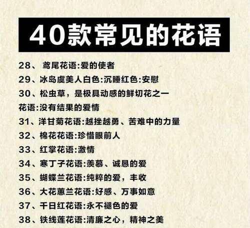 花语堂为何受到欢迎？它有什么特别之处？