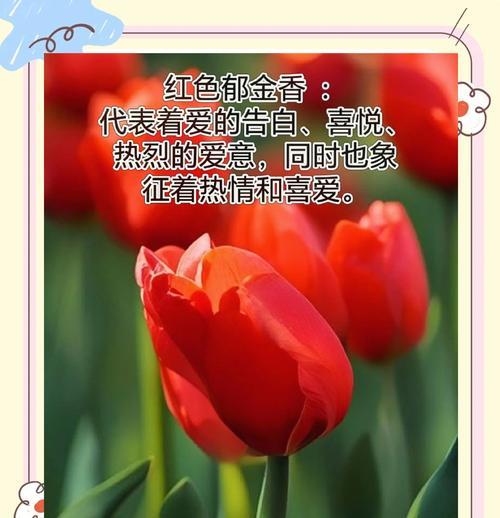 温柔的颜色花语代表了什么？它有何深层含义？