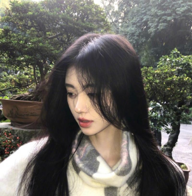 鞠婧祎的冬日与花语：探寻冰雪中绽放的温柔寓意