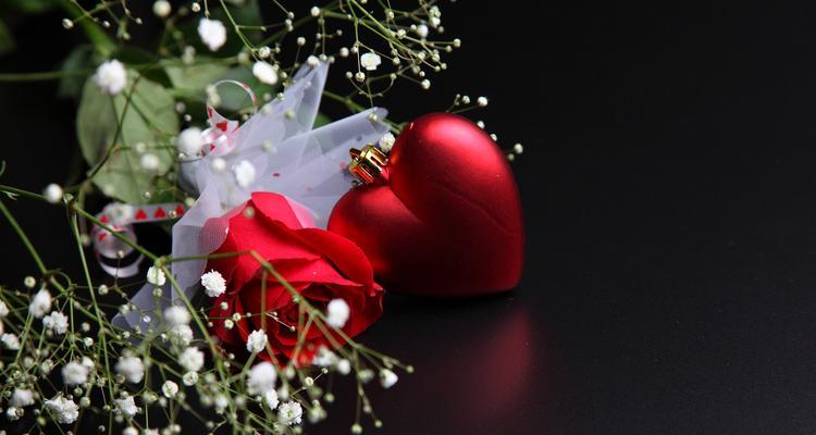 低调又热烈的爱的花语是什么？哪种花象征这种爱情？