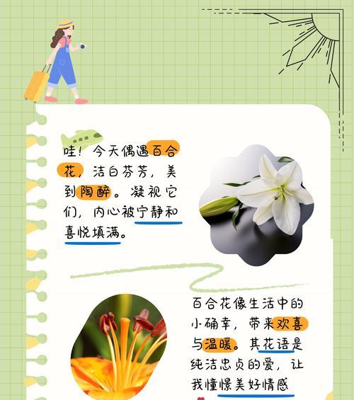 哪种花的花语象征女性的绽放？