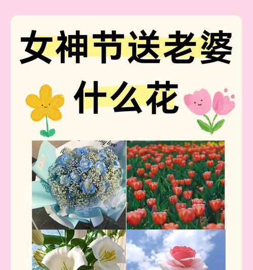 表达一生只爱一人的花语是什么?