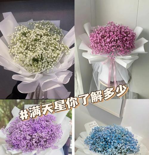 满天星的花语，那些如星辰般闪耀的含义