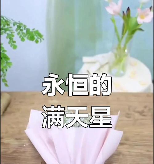 满天星的花语，那些如星辰般闪耀的含义