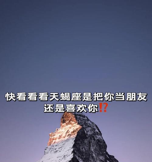 雪中蓝玫瑰的寓意：探索花语背后的特殊情感