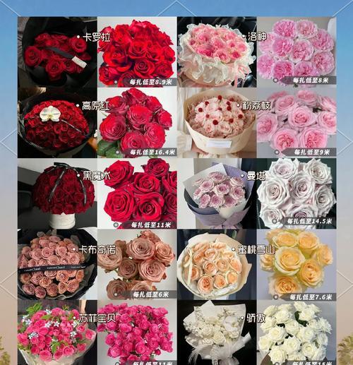 樱花雨玫瑰的花语有何寓意？