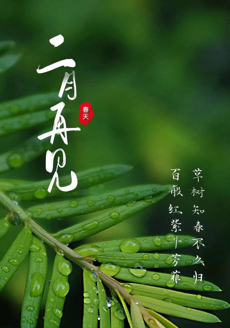 玫瑰花语中的“再见”意味着什么？