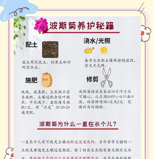 播种期和光照时间如何影响波斯菊的生长发育？