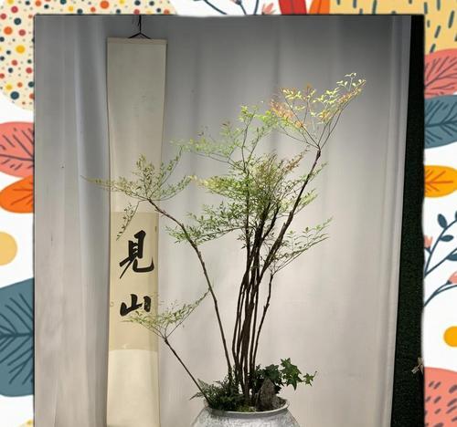 南天竹养护需要注意哪些事项？