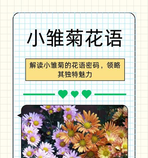 雏菊有什么深意？暗恋、离别与坚强的花语是什么？