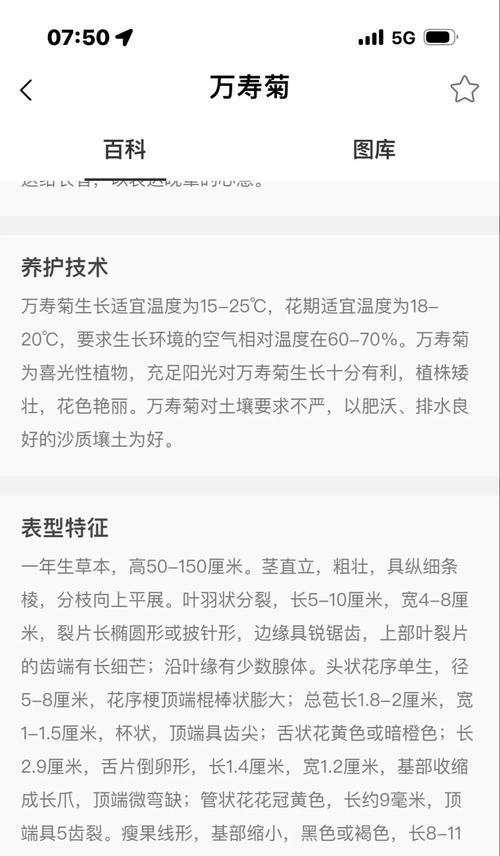 万寿菊种子如何种植？是一年生还是多年生？