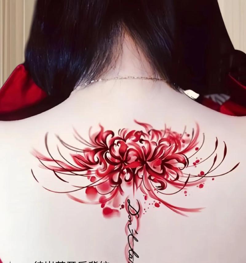 彼岸花的花期是什么时候？它的寓意有何深意？