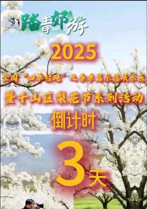 千山梨花盛花期是什么时候？如何欣赏最佳？