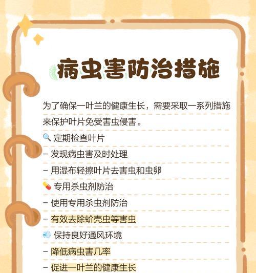一叶兰如何养护才能叶片更旺盛？有哪些秘籍可以分享？