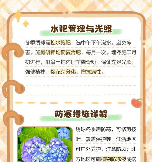 绣球花如何赏析？养护指南是什么？