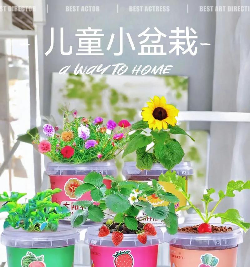 哪些盆栽美植适合家中养护？如何照料才能爱不释手？