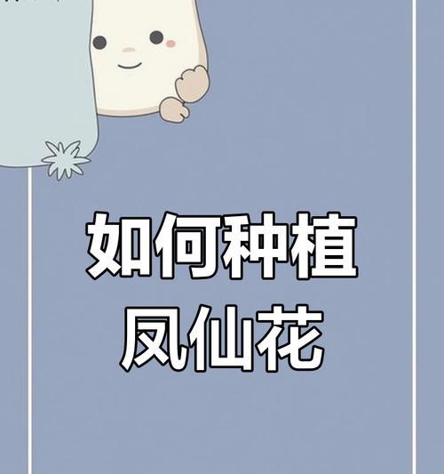 凤鲜花的种植步骤是什么？需要注意哪些事项？