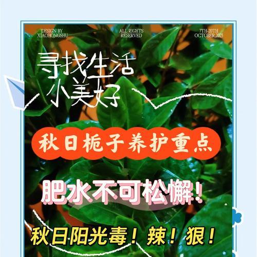 栀子花花期是什么时候？养护小知识有哪些？
