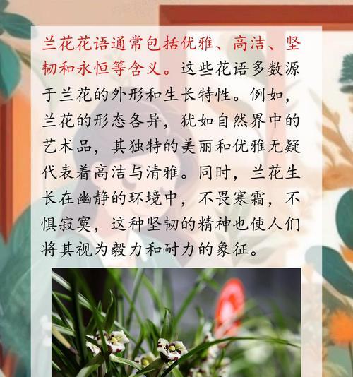 兰花开花有哪些寓意？如何解读兰花的花语？