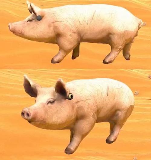 哪些花像“老母猪”？种一棵生一窝的秘诀是什么？