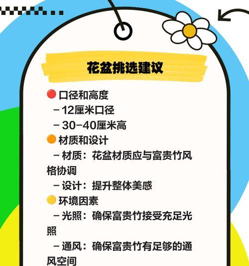 富贵竹如何养护？养护全攻略是什么？