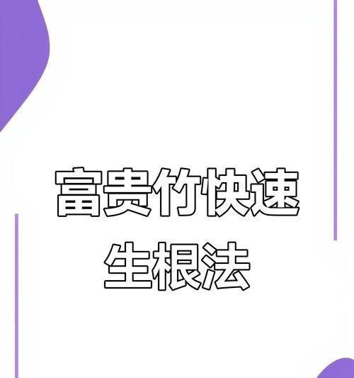 富贵竹如何养护？养护全攻略是什么？