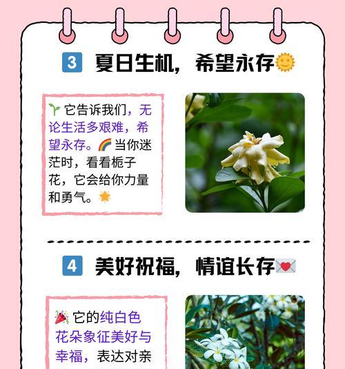 栀子花如何家庭养护？打造常盛不衰的美丽花卉的秘诀是什么？