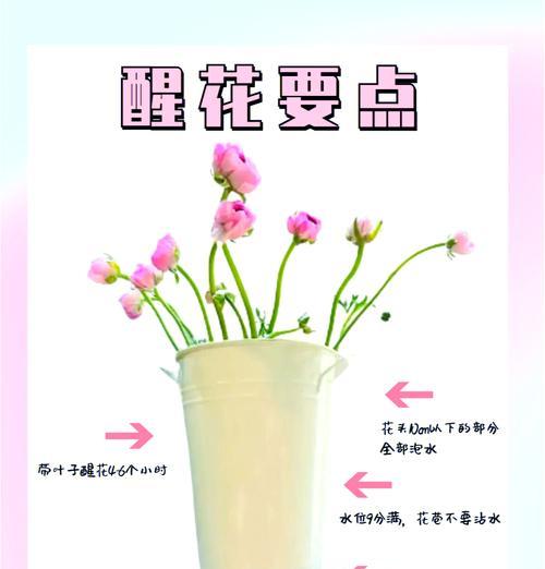 花种子是否必须催芽？催芽的方法是什么？