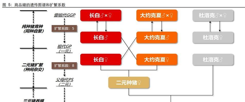 现代畜禽养殖有哪些核心技术？如何实践应用？