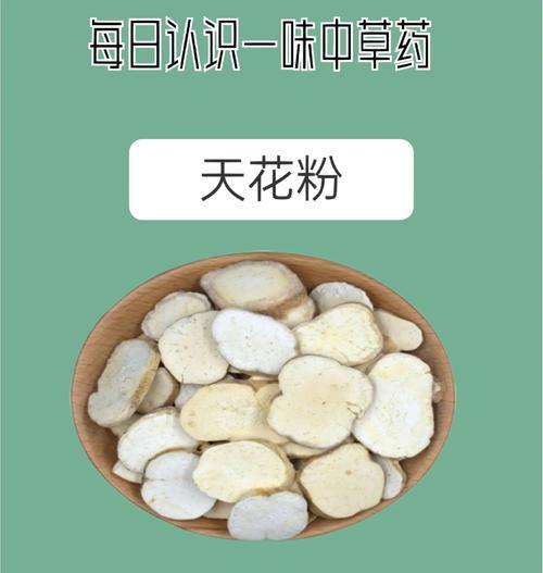 满天星是否有花粉？如何了解满天星的花粉情况？